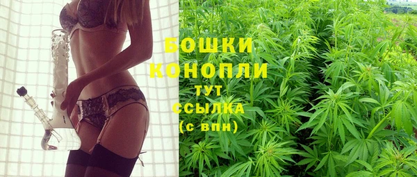 стаф Абдулино